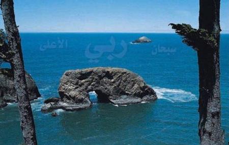 sob7ana allah