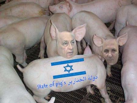 state of pigs